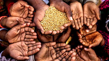 Food Crisis: Nigeria, Sudan among 10 countries home to world’s most hungry – UN report