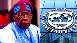 Rising costs: IMF warns of tough times for Nigerians