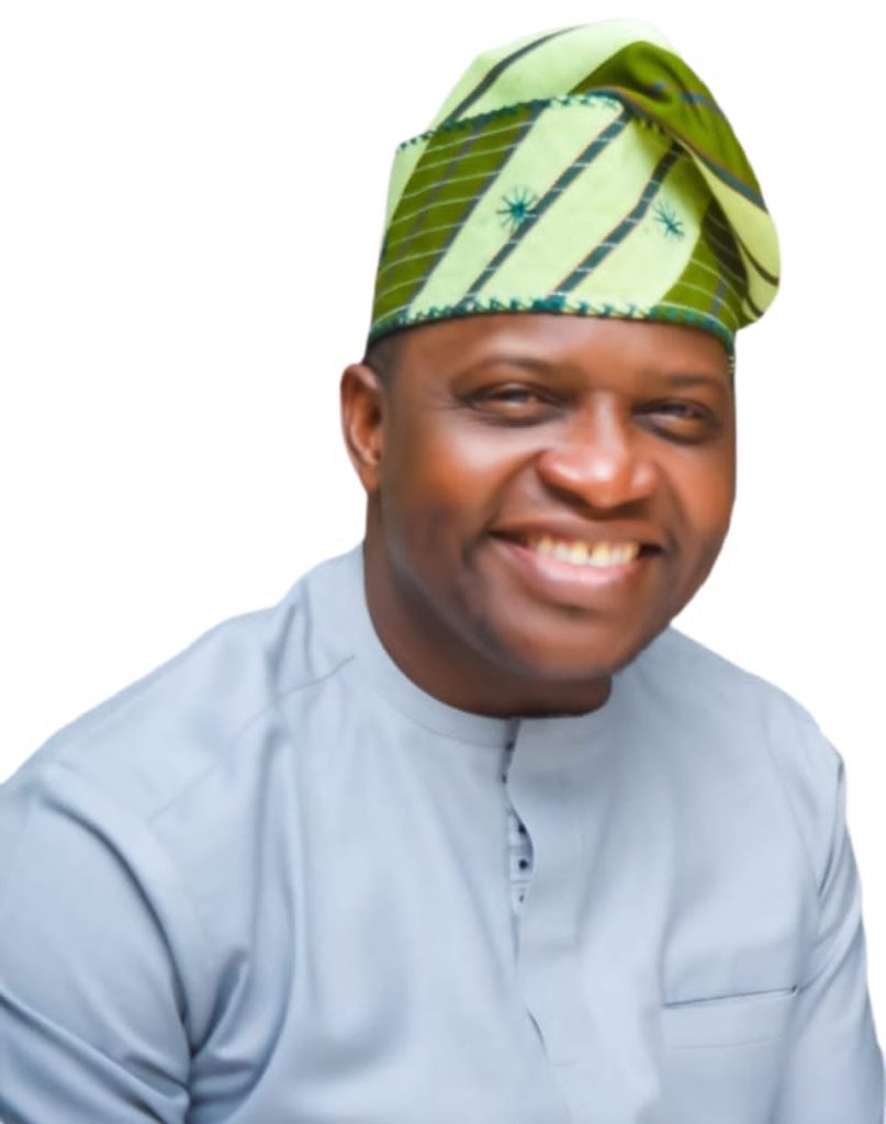 Diaspora must drive Nigeria’s health reforms – Adeniyan