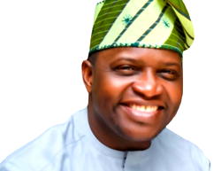 Diaspora must drive Nigeria’s health reforms – Adeniyan