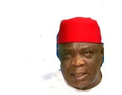 Ulasi sends signals to Wike’s PDP, eyes Obi-Kwankwaso option
