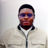 Digital economy: How individuals can drive meaningful change – Adedokun