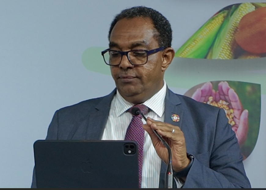 FAO lists six pathways to fix Nigeria’s food crisis