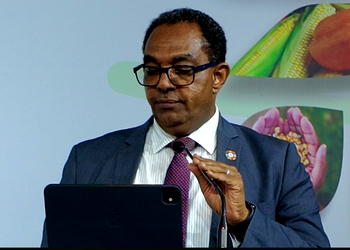 FAO lists six pathways to fix Nigeria’s food crisis