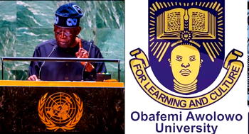 OAU VC, scholars hail Tinubu’s choice of Ibrahim as UN envoy