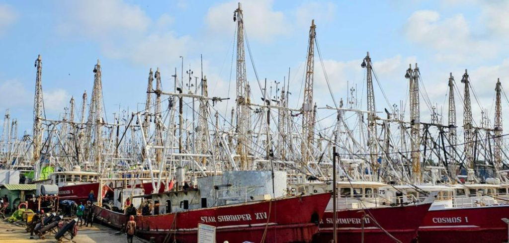 Diesel price high, 80% of fishing boats no longer moving
