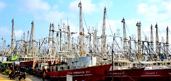 Rising diesel prices cripple fishing sector, 80% of vessels grounded