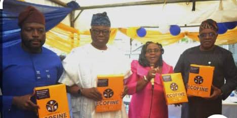 Paper Industry: Nigeria’s untapped goldmine in need of investors – FAE