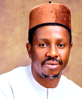 Amuwo Odofin: Group backs Umeadi for Reps seat