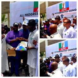 NANS presents nomination form to ex president, Emonefe