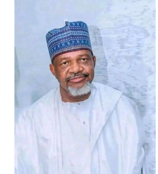 Breaking: Kebbi Assembly Speaker Muhammad Usman Zuru dies in Egypt