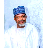 Breaking: Kebbi Assembly Speaker Muhammad Usman Zuru dies in Egypt
