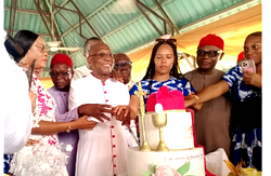 ‘Africa must rise and shape its future,’ says Obiora Ike at 70