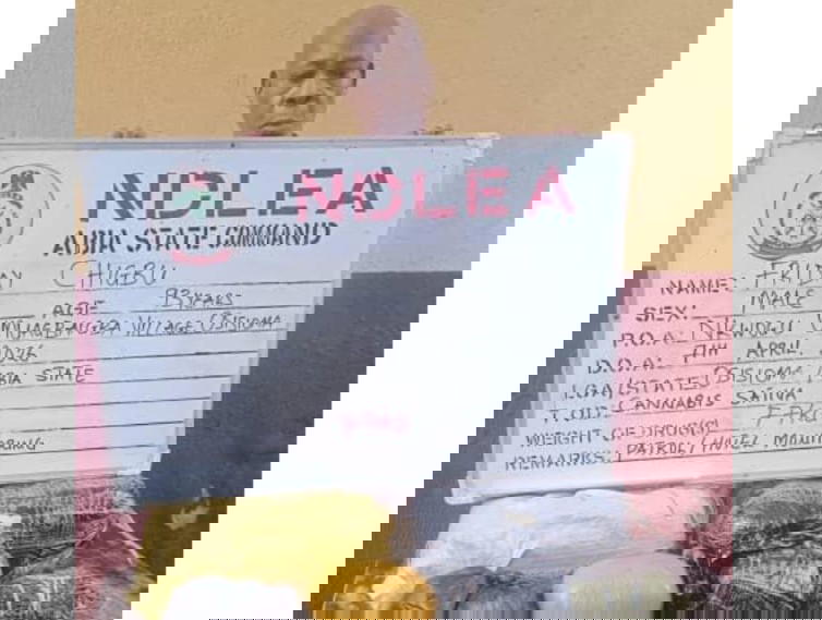 Anti-Narcotics Agency Detains Nonagenarian, Medical Practitioner in Sweeping Nationwide Operation Against Illicit Substances