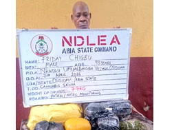 NDLEA arrests 93-year-old, doctor in nationwide drug crackdown