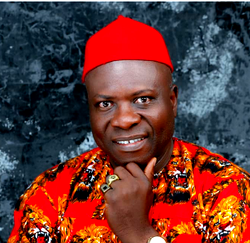 Nnaji dumps PDP, backs ADC, calls for broad opposition coalition ahead of 2027