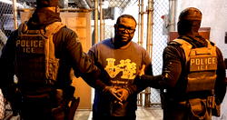Nigerian man arrested, faces deportation from US over ‘sex crimes’
