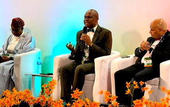Pharma hubs key to Nigeria’s drug security – Prof Anyakora