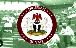Imo stakeholders urge Ihedioha, Amadi, Anyanwu to contest Owerri senate seat