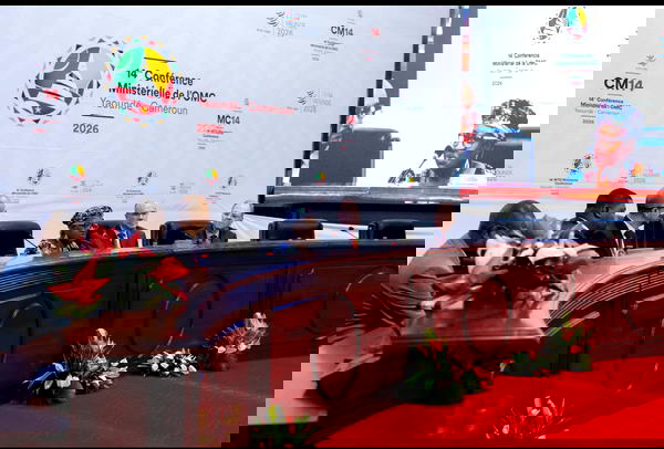 Africa trade policy group appoints Ese Owie as Convenor, targets global influence