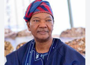 2027: Tinubu has been preparing for decades, I have no doubt he'll win again—Okunrinboye