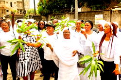 Women voters intensify pressure on NASS over special seats bill