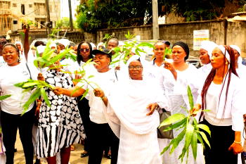 Women voters intensify pressure on NASS over special seats bill