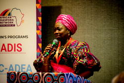 Nigeria woos diaspora investors at Silicon Valley summit