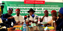 Southern ALGON chairmen back Tinubu for second term bid