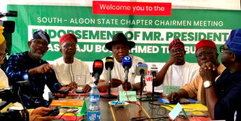 Southern ALGON chairmen back Tinubu for second term bid