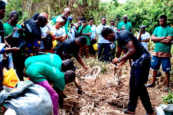 Oyo farmers advocate review of agrochemical use, promote organic alternatives