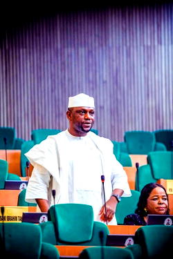 Borno Rep, Balami pushes for urgent need to end Boko Haram killings, abductions