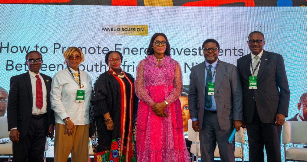 South Africa, Nigeria must deepen renewable energy ties to secure Africa’s future