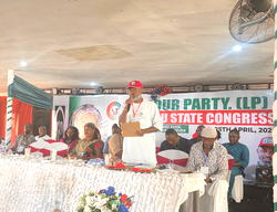 Enugu LP elects new executives, expels former chairman