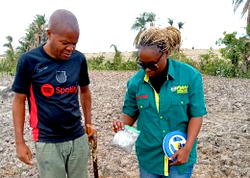 Food: Agric Ministry, KAFACI moves to deploy soil fertility enhancement technologies