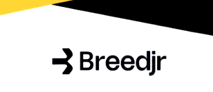 Breedjr crosses $4M in payouts, unveils faster crypto-to-naira settlements