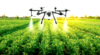 Food security: How technology can drive Nigeria’s productivity-driven agric sector dreams