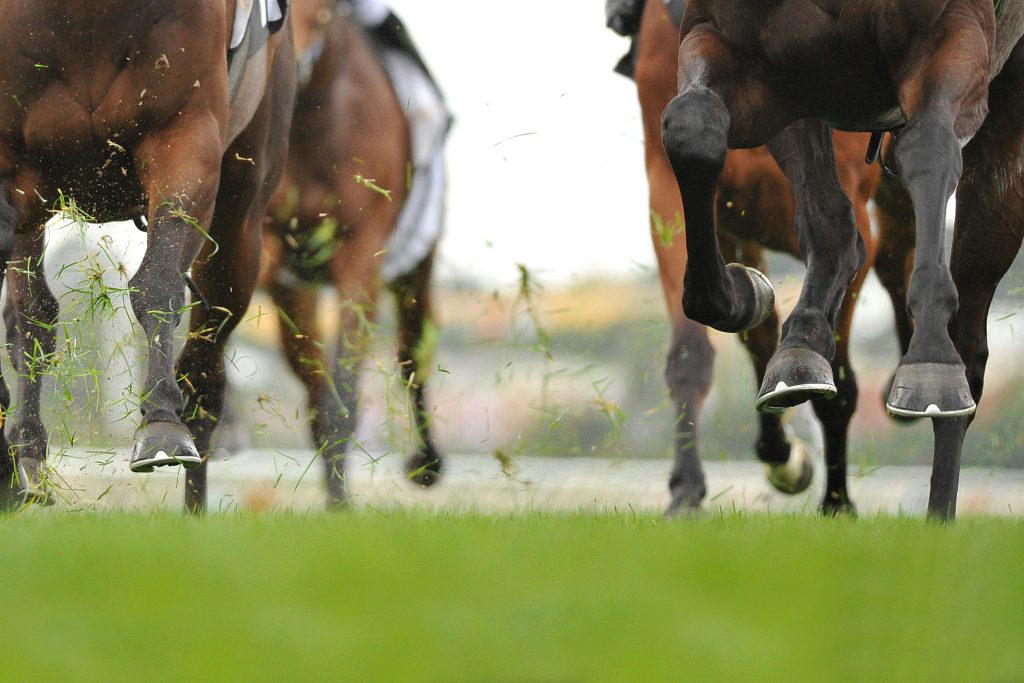 Navigating the World of Horse Racing Betting