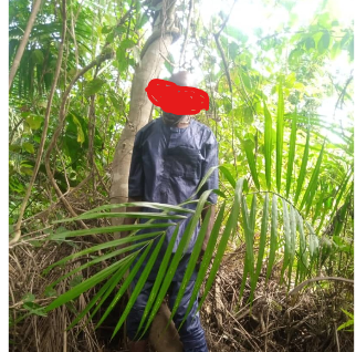 Grief grips Badagry residents after body discovered in woodland area