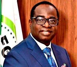 2027: Opposition lacks structure, vision to unseat Tinubu — Oladele
