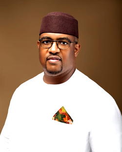 2027: ADC faces major blow in Imo as Odunzeh signals exit