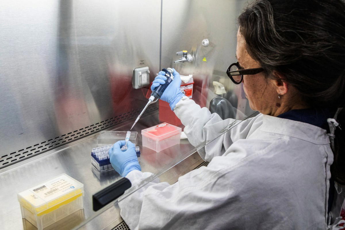 Hantavirus: WHO alerts 12 countries whose citizens left cruise ship [Full List]
