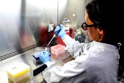 Hantavirus: WHO alerts 12 countries whose citizens left cruise ship [Full List]