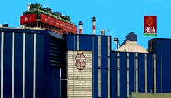 Financial Times recognition highlights scale, resilience, global relevance of Nigerian Manufacturing – BUA Foods