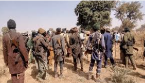 Oyo School Abduction: Kidnappers using neighbouring forests to hide victims — Agbekoya