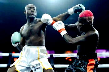 Portable vs Carter Efe: When celebrity drama turned boxing spectacle