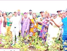 Ogun cotton project records harvest as stakeholders push industry revival
