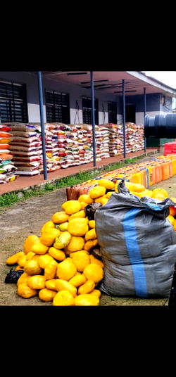 Seme Command nets N9.8bn amid anti-smuggling crackdown