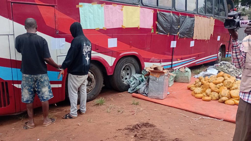 Customs Seizes Bus in Ogun Carrying Military Camouflage and Cannabis