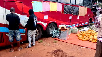 Customs intercepts bus loaded with military camouflage, cannabis in Ogun